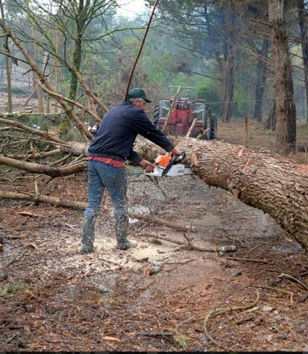 Limpezas gerais {terrenos,jardins é muito mais} venda de lenha
