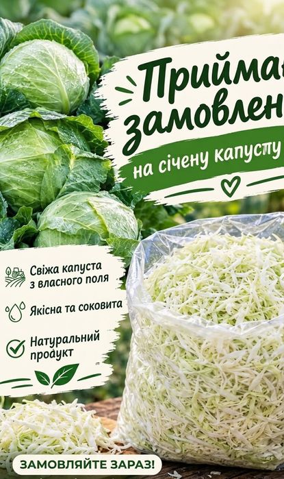 Продається капуста агресор є об'єми: 15 грн. - Продукти харчування ...