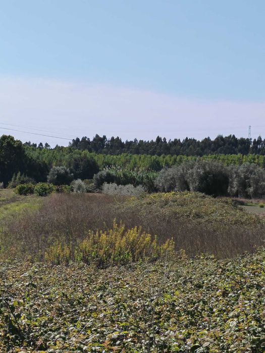 Terreno para venda