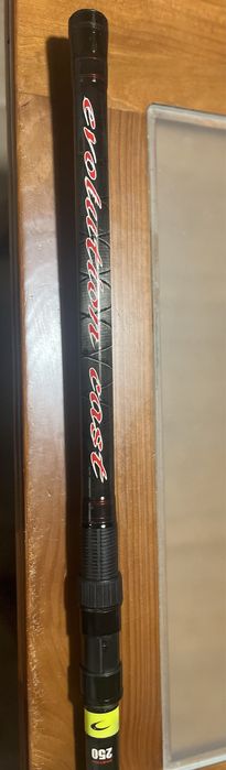 Cana Barros Arrifana 5mt