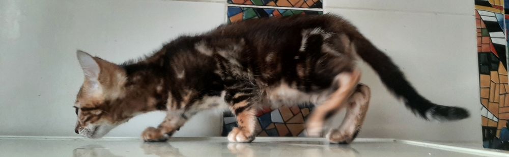 Маленька дівчинка 2,5 місяця