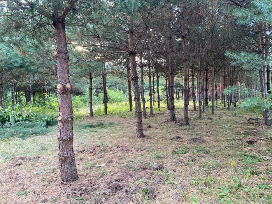 Działki rekreacyjne nad rzeką - Widok 3
