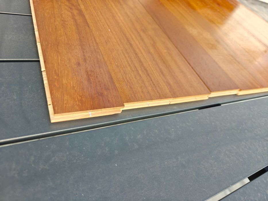 Parkiet Iroko egzotyk Okazja