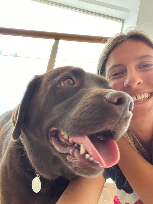 Trusted Pet Sitting in Almada | Dogs and Cats