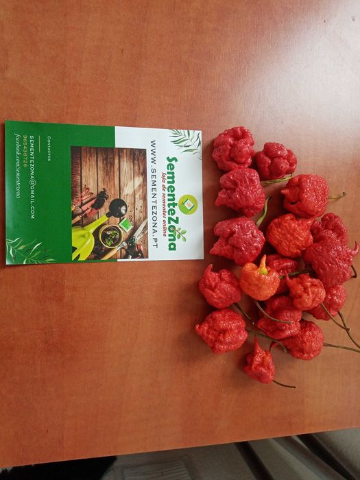 6 Sementes Pimenta Carolina Reaper Red
