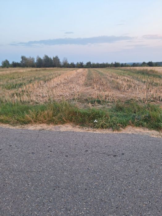 Sprzedam działkę uzbrojoną budowlaną