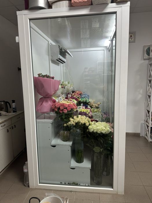 Холодильна камера для квітів 220×120×200 см | Агрегат SCOLD AgK-25TW