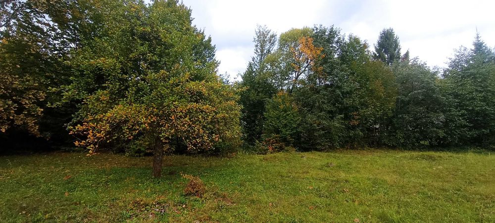 Продаю чудову ділянку у чудовому місці на курорті Поляна