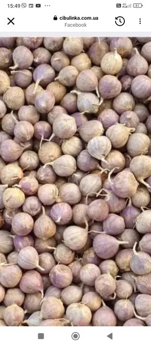 Воздушка однозубка