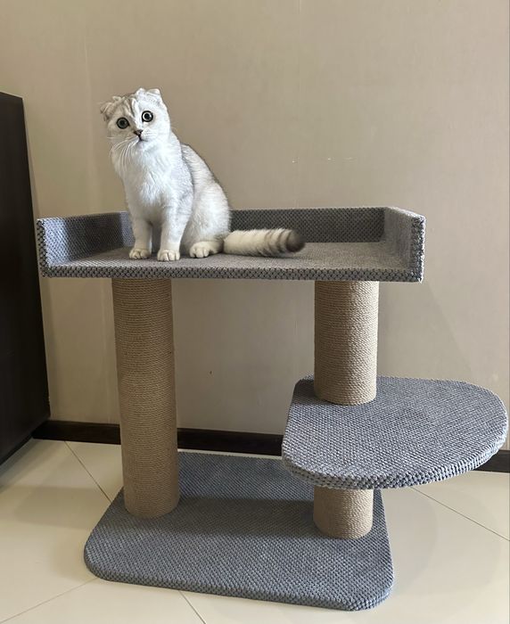 Кігтеточка, дім для кота, ігровий простір для кота