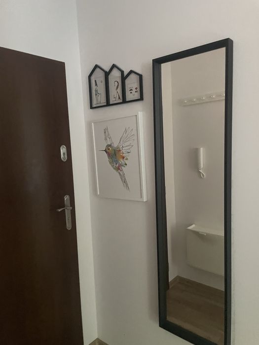 Zdjęcie 8