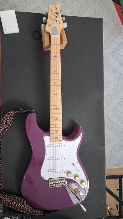 Guitarra Prs SE Silver sky