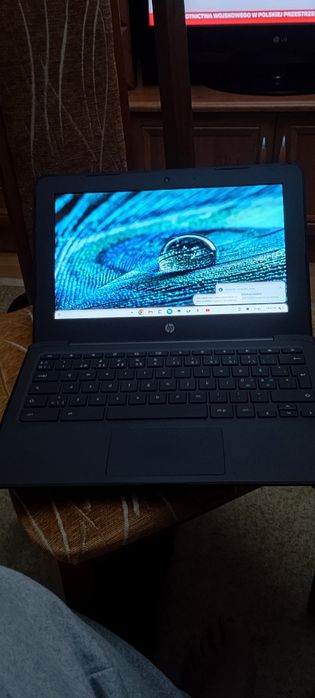 Chromebook HP używany