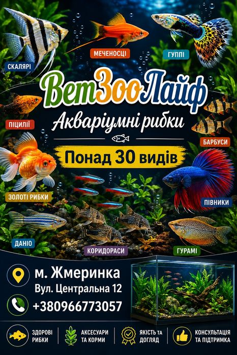 Рибки для акваріума
