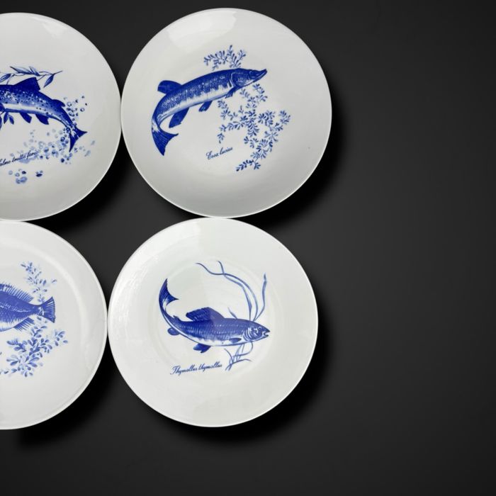 Komplet 6 talerzy obiadowych Kahla z motywami ryb b5/072131