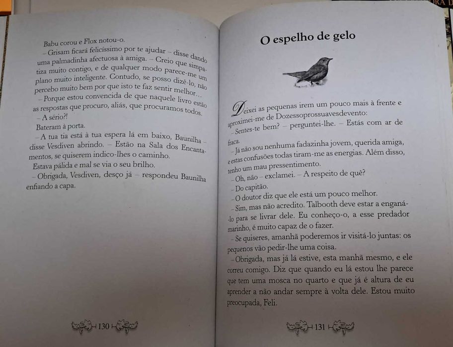 O Segredo das Gémeas, coleção "Fairy Oak", de Elisabetta Gnone