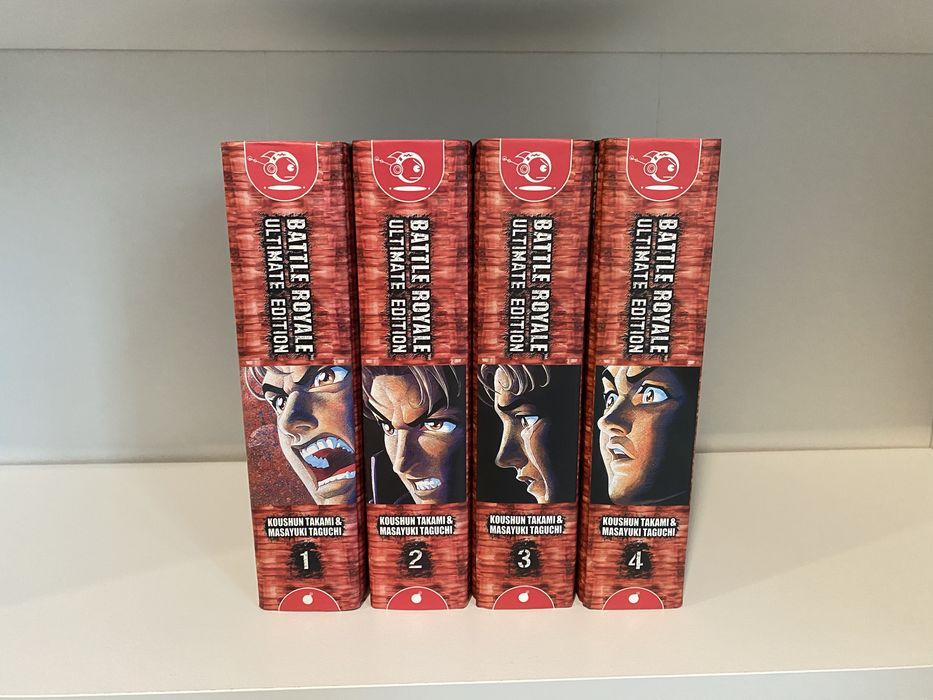 Conjunto de Manga variado