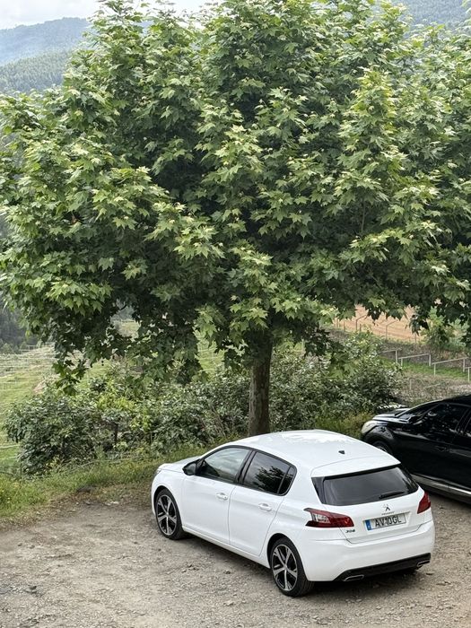 Peugeot 308 bluehdi 1.6 diesel