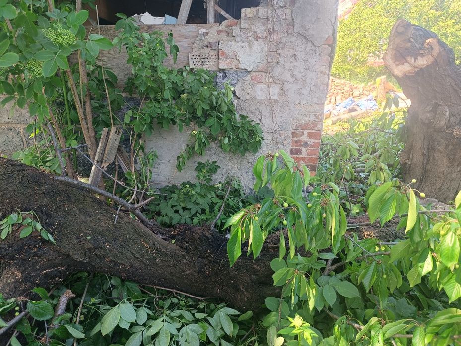 Gruz oddam po rozbiórce domu.