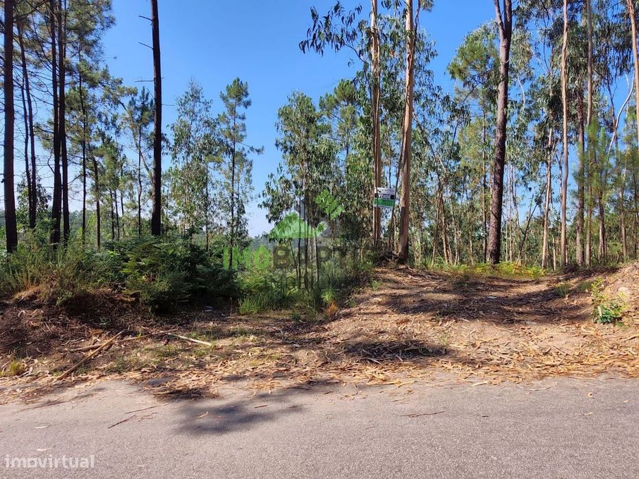 Terreno c/6940 m2 em Fermedo