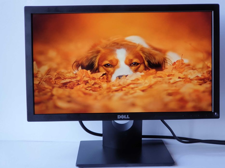 монітор 19" Dell E1916He VGA  DisplayPort c13 EE7