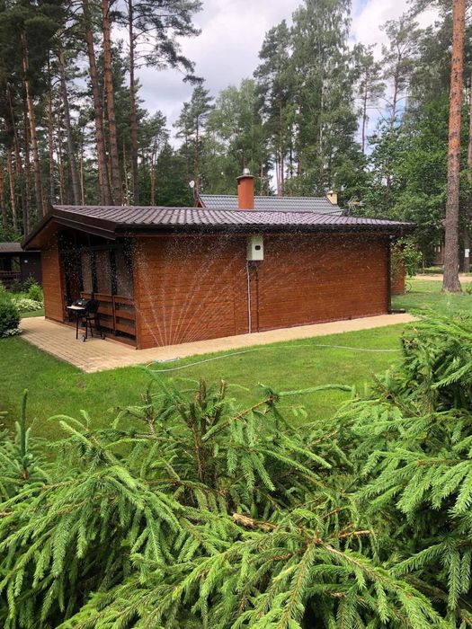 Domek do wynajęcia   Ostroda - Rus Mała