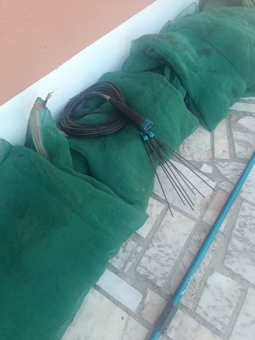 Máquina de azeitonas
