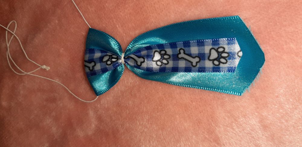 Gravatas e laços para pets.