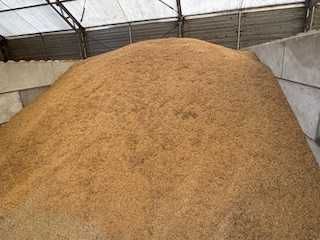 Owies   duze ilośći