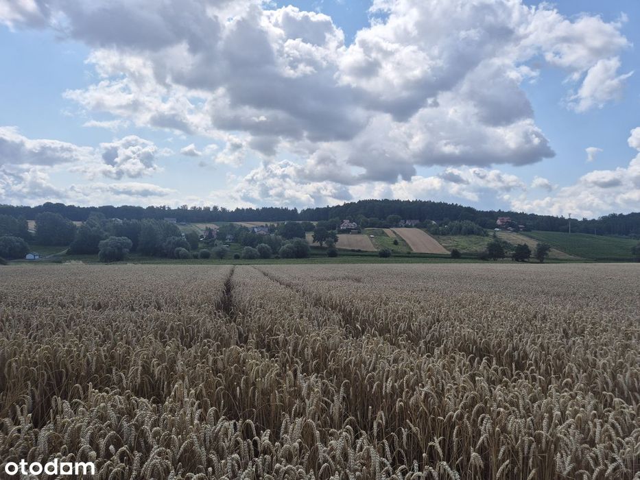 Piękna działka z widokiem na las - 8arów, ładne wymiary.