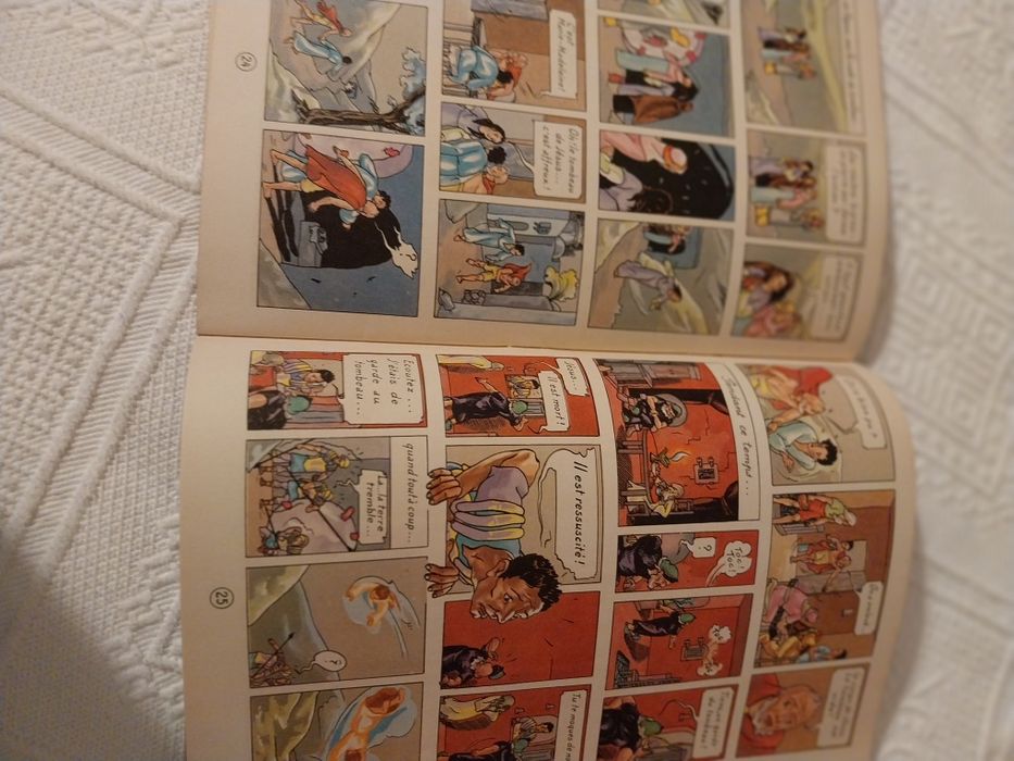 Le Triomphe de la Croix – PILAMM – Casterman – Álbum Antigo Ilustrado