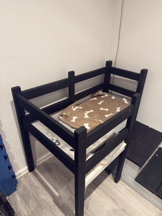 Pietrowe łóżko dla psa