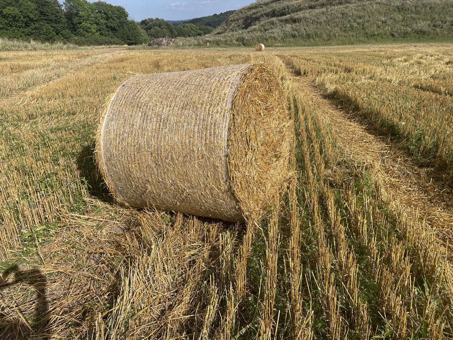 Słoma w belach 2025