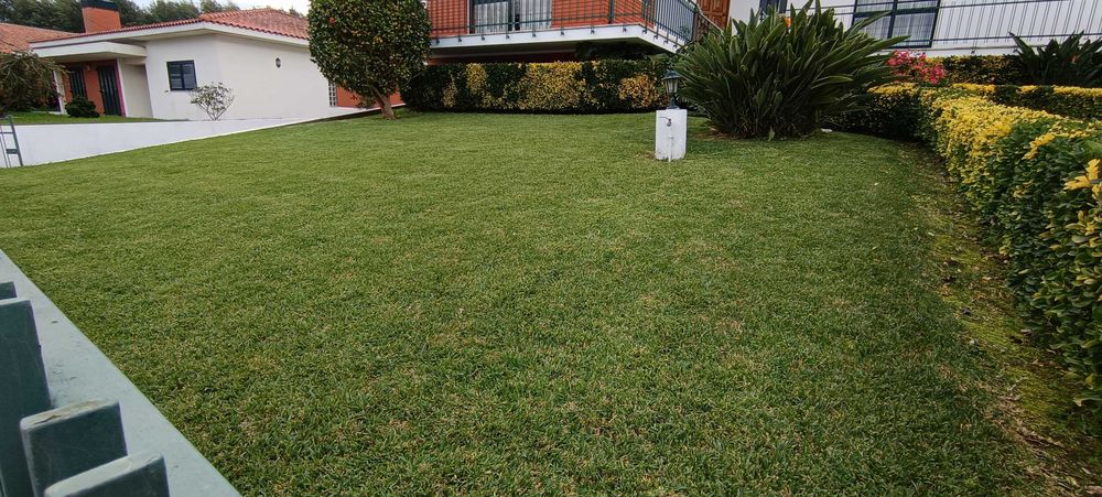 Serviços de Jardinagem: "Corte de Relva, Podas e Limpeza de Terrenos"