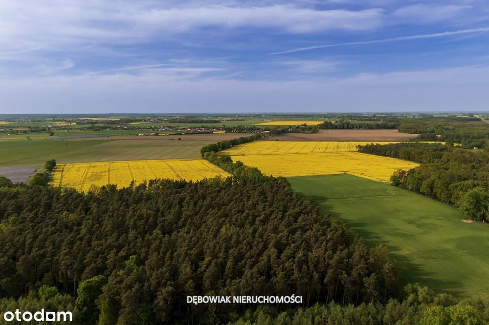 II etap sprzedaży / Atrakcyjne nowe osiedle w Gronówku / blisko Leszna