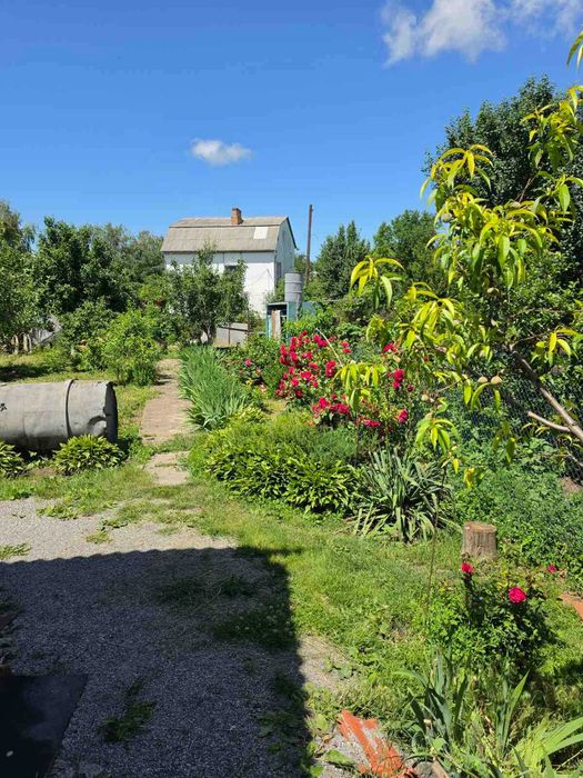 Будинок – Кременчук, Новоіванівка - Вид 4