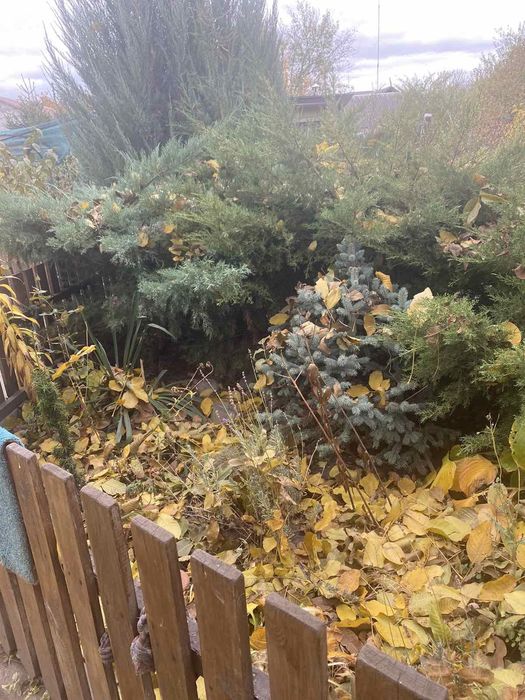 Продам дом Змиев(Е-оселя)