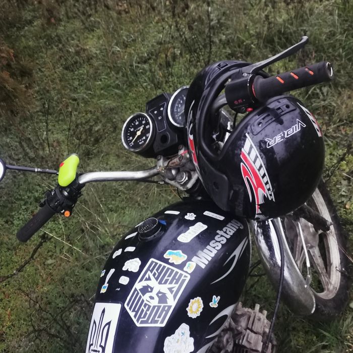 Мустанг регион 150