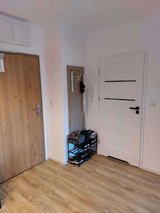 36m, ul. Okulickiego, bezpośrednio, pet friendly.