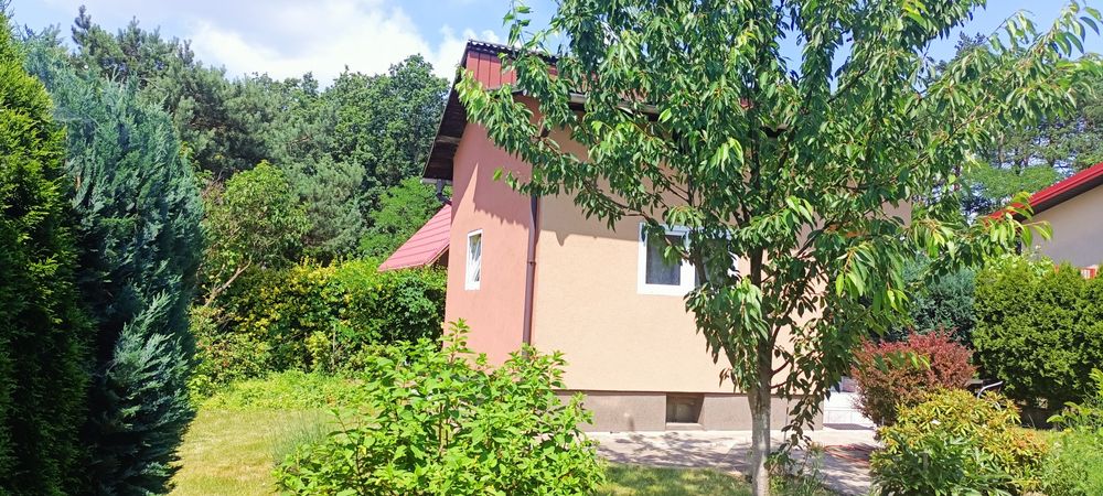 Sprzedam prawo do działki ROD– os.Stałe Jaworzno - Więcej