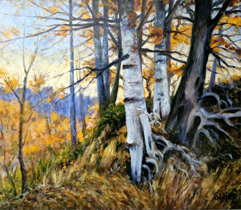 Obraz olejny Buki