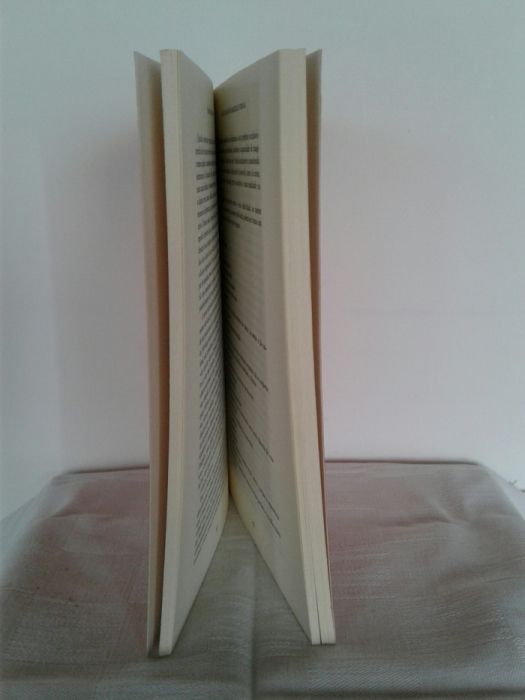 Livro Os Sete Principios da Realização Pessoal, Deepak Chopra