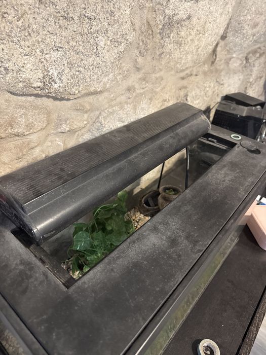 Aquario com decoraçao