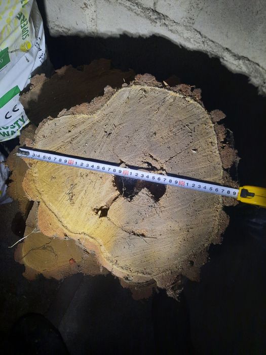 Plastry/ krążkiakacji