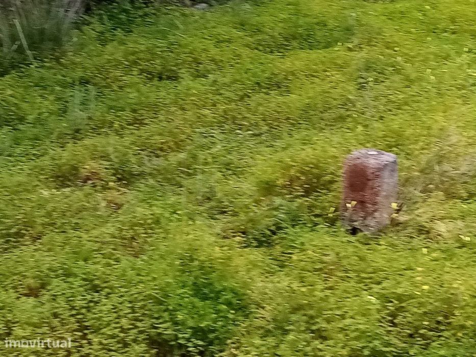 Terreno Rustico com 1394 m2, Loulé, Algarve