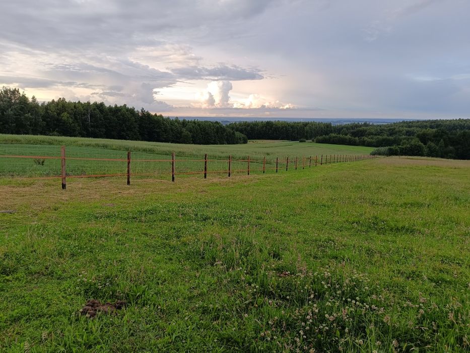 Ogrodzenie tymczasowe siatka leśna montaż