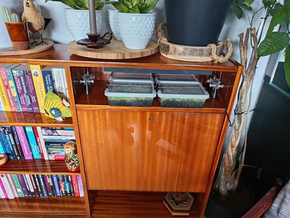 Komoda, witryna Wioletta, PRL