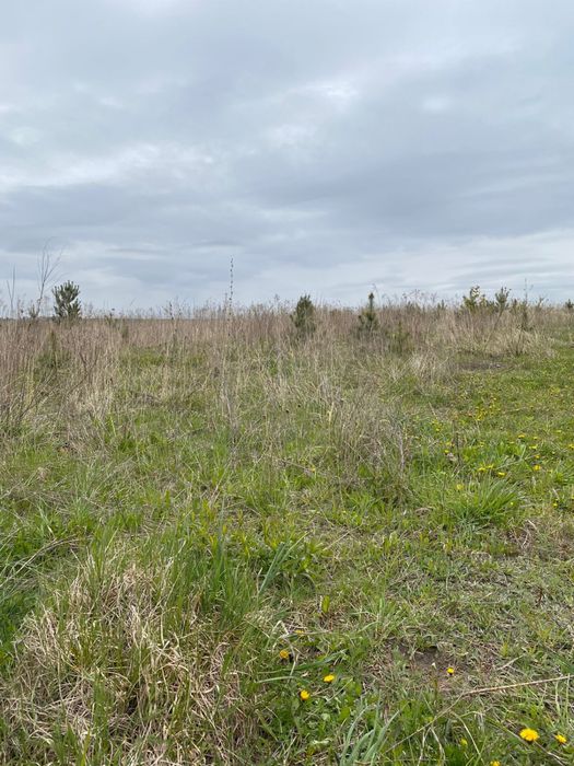 Земельний пай село Жадківка