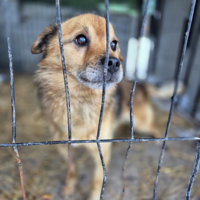 Mały Czarek do pokochania