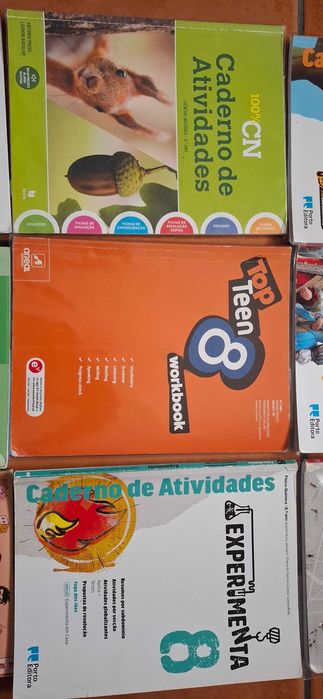 Cadernos de atividades 8.ano